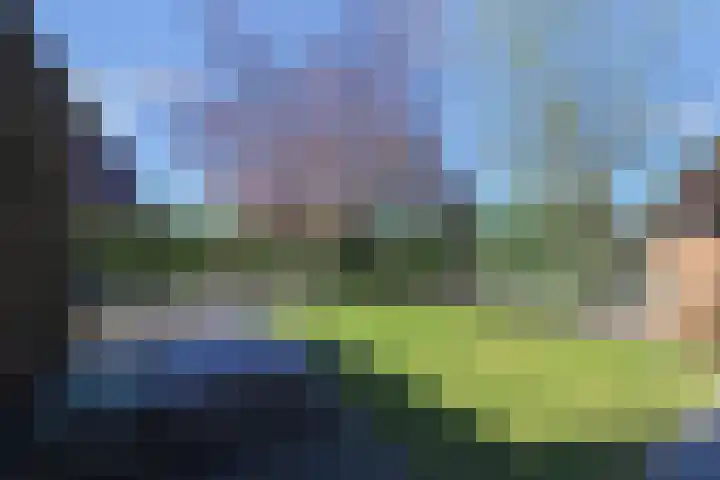 Ribbelzegge 25 Den Haag thumbnail 19