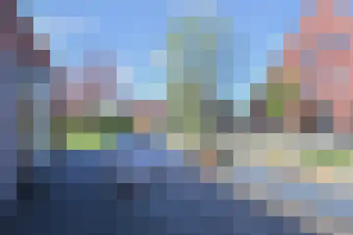 Ribbelzegge 25 Den Haag thumbnail 21