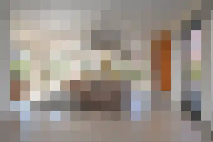 Ribbelzegge 25 Den Haag thumbnail 31
