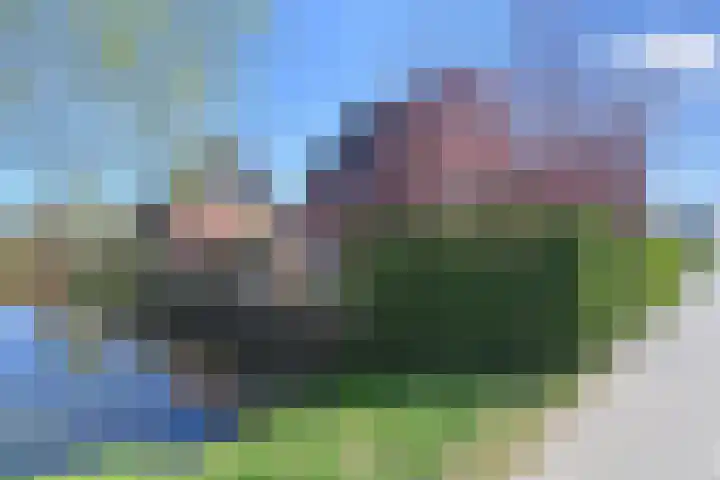 Ribbelzegge 25 Den Haag thumbnail 5