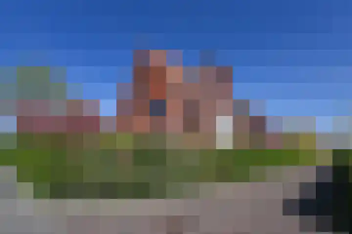 Ribbelzegge 25 Den Haag thumbnail 6