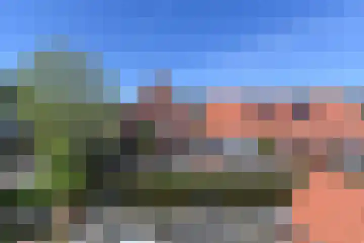 Ribbelzegge 25 Den Haag thumbnail 61