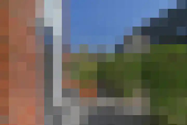 Ribbelzegge 25 Den Haag thumbnail 65