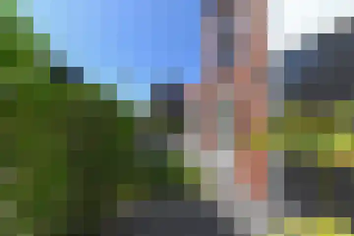 Ribbelzegge 25 Den Haag thumbnail 66