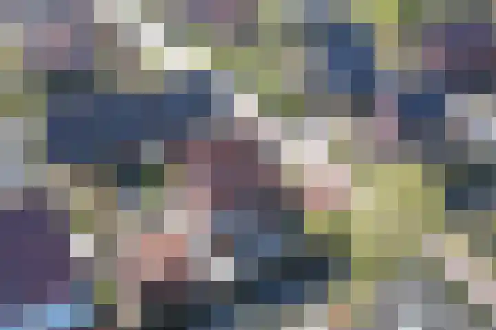 Ribbelzegge 25 Den Haag thumbnail 69
