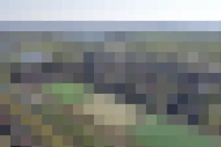 Ribbelzegge 25 Den Haag thumbnail 72
