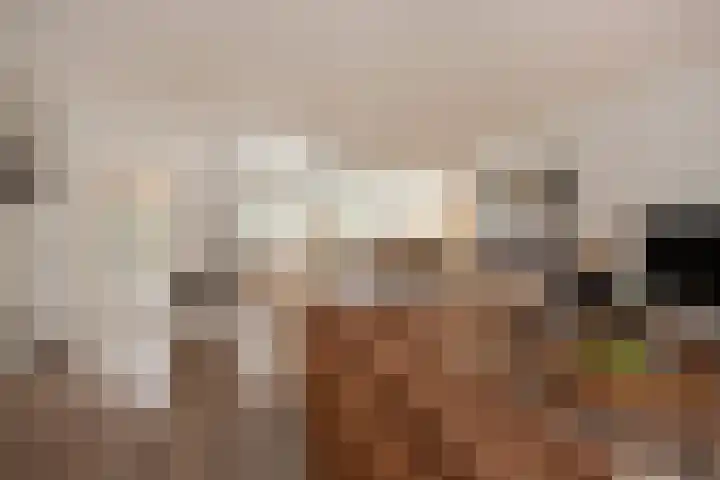 Ribbelzegge 3 Den Haag thumbnail 13