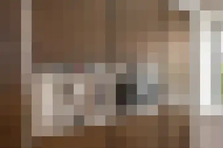 Ribbelzegge 3 Den Haag thumbnail 14