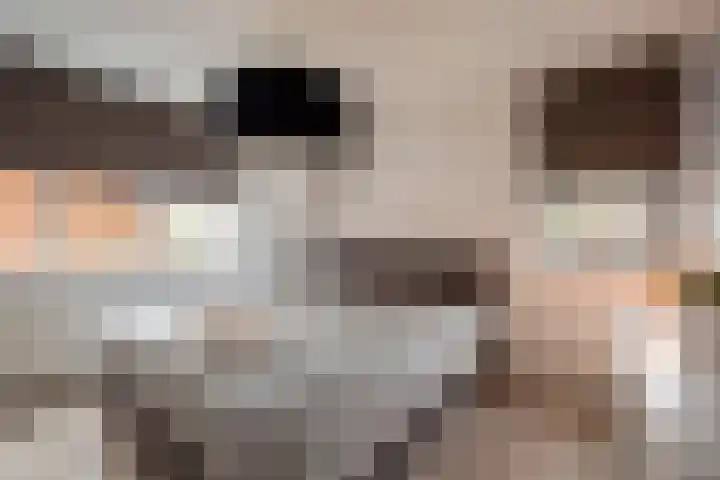 Ribbelzegge 3 Den Haag thumbnail 19