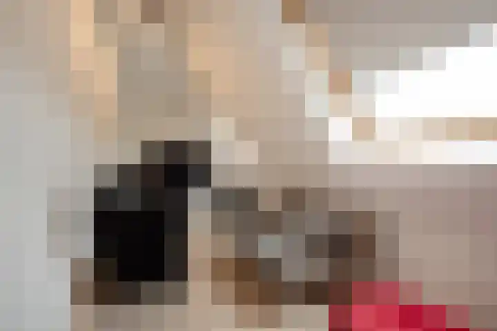 Ribbelzegge 3 Den Haag thumbnail 33