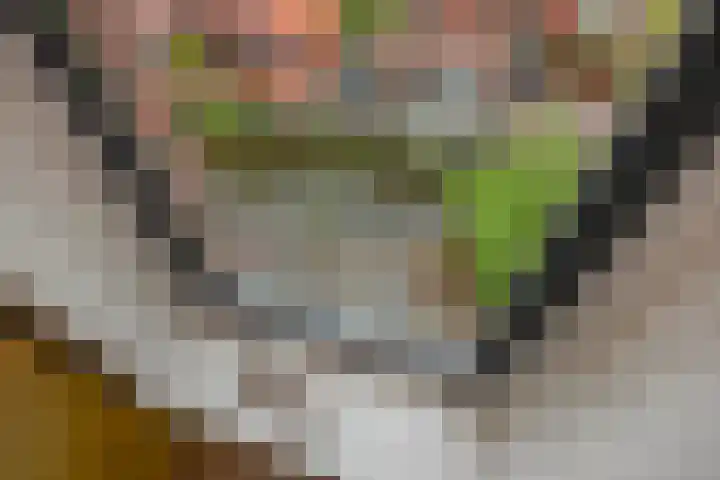 Ribbelzegge 3 Den Haag thumbnail 35