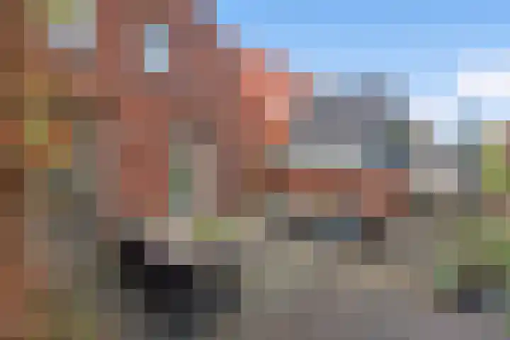 Ribbelzegge 3 Den Haag thumbnail 36