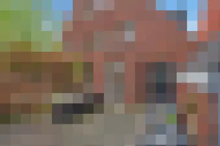 Ribbelzegge 3 Den Haag thumbnail 37