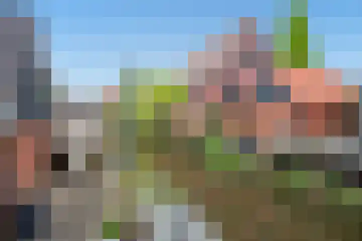 Ribbelzegge 3 Den Haag thumbnail 38