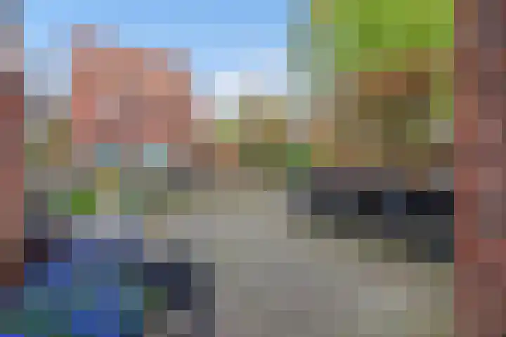 Ribbelzegge 3 Den Haag thumbnail 39