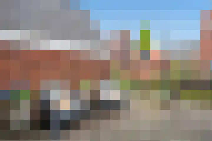 Ribbelzegge 3 Den Haag thumbnail 41
