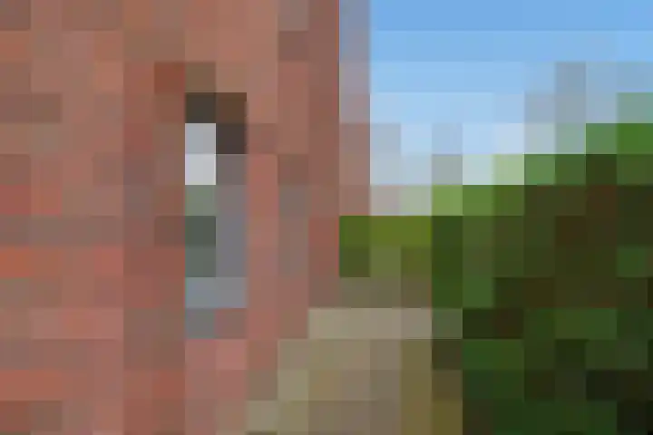 Ribbelzegge 3 Den Haag thumbnail 42