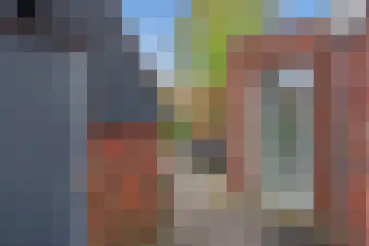 Ribbelzegge 3 Den Haag thumbnail 43