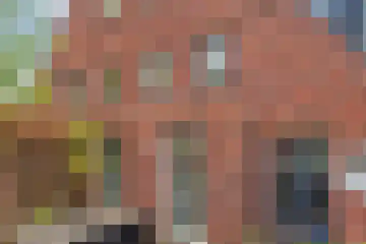 Ribbelzegge 3 Den Haag thumbnail 44