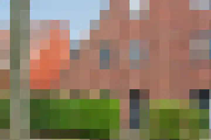 Ribbelzegge 3 Den Haag thumbnail 45