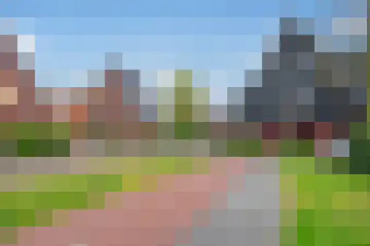 Ribbelzegge 3 Den Haag thumbnail 47