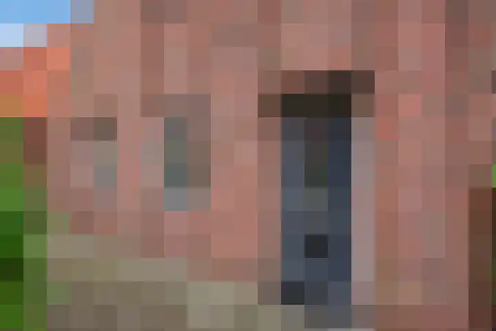 Ribbelzegge 3 Den Haag thumbnail 5
