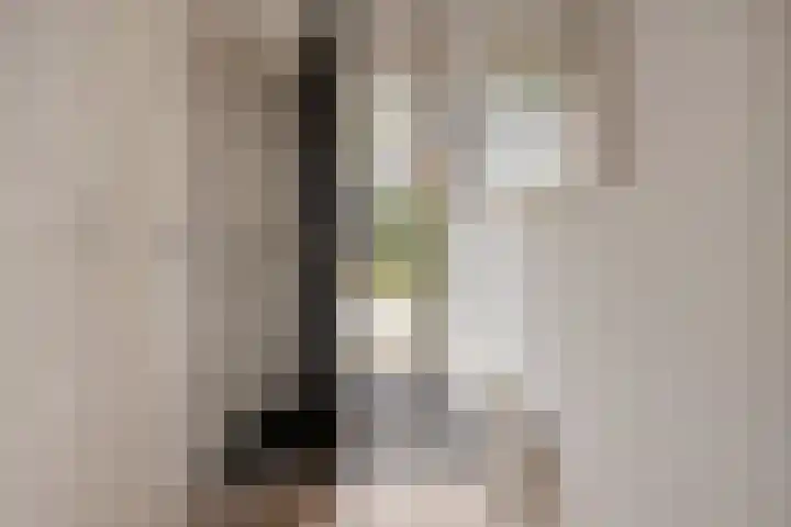Ribbelzegge 3 Den Haag thumbnail 6