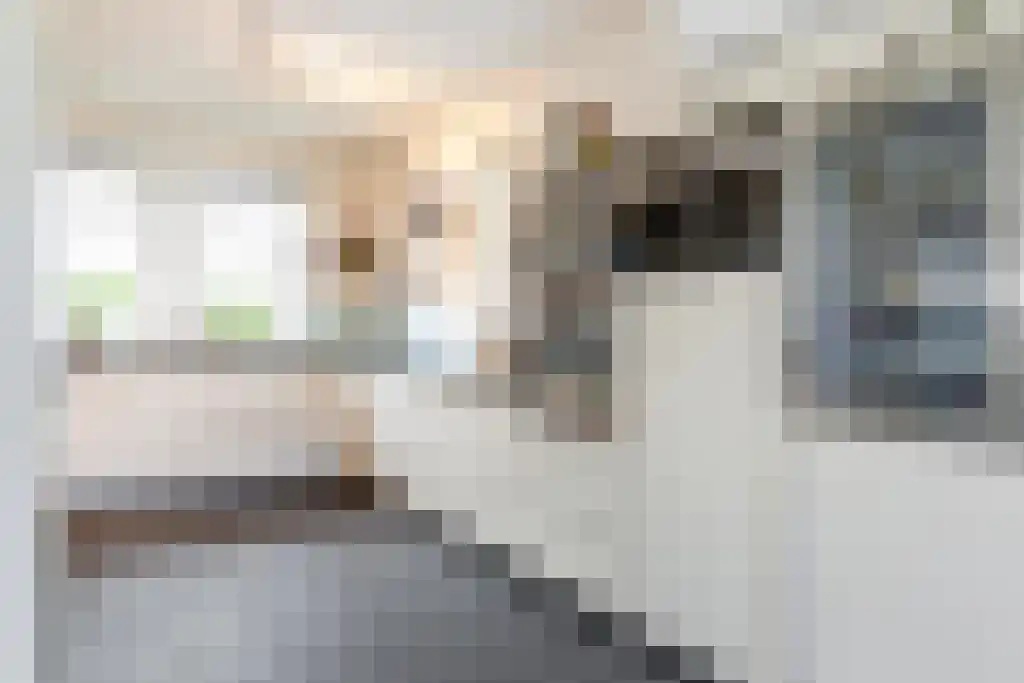 Ribbenboschweg 2 Ermelo thumbnail 16