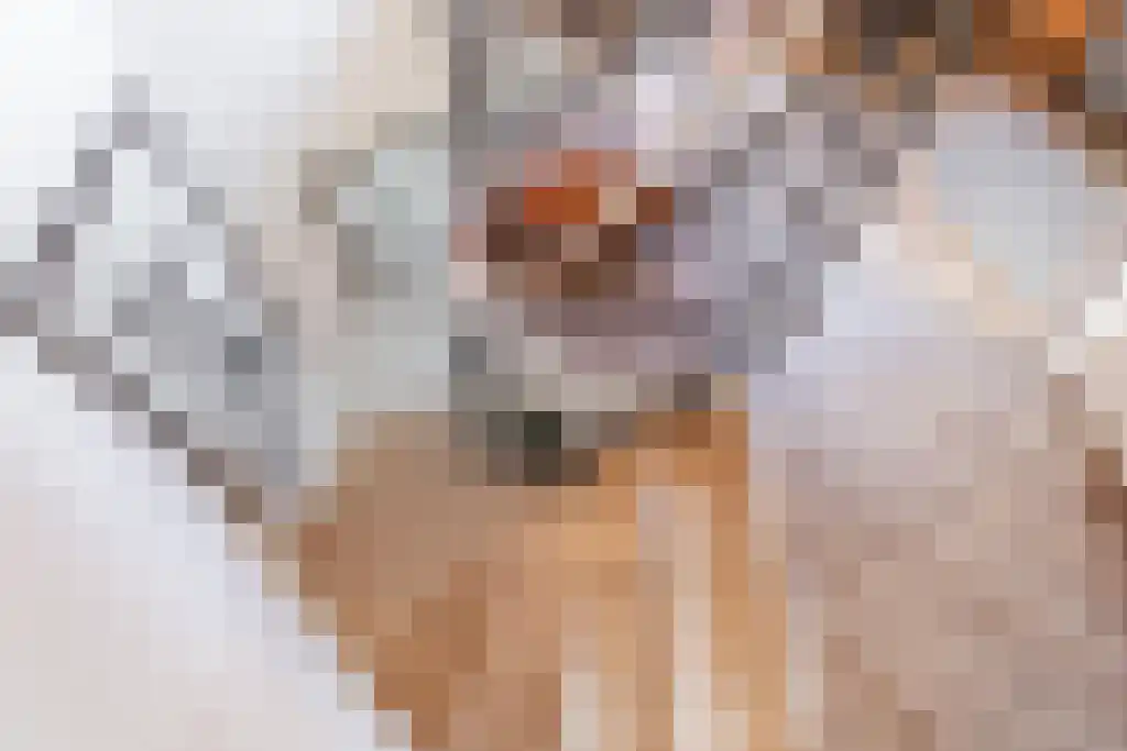Ribbenboschweg 2 Ermelo thumbnail 31