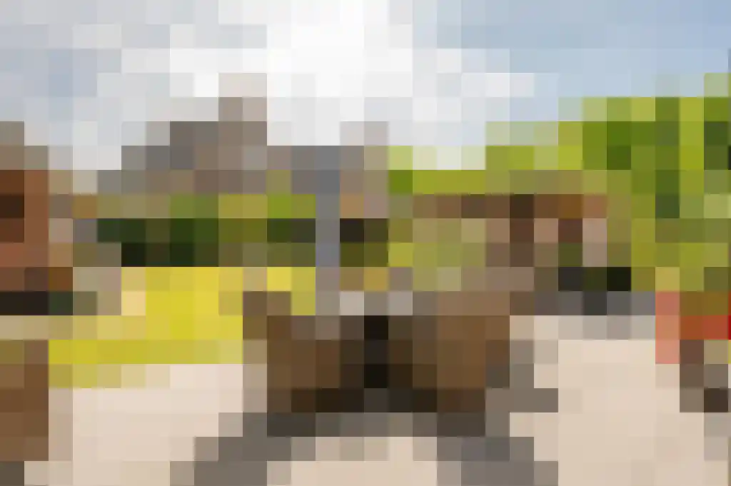 Ribbenboschweg 2 Ermelo thumbnail 38