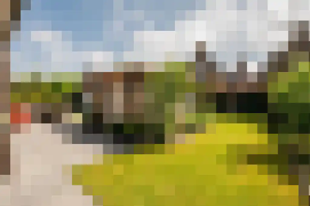Ribbenboschweg 2 Ermelo thumbnail 39