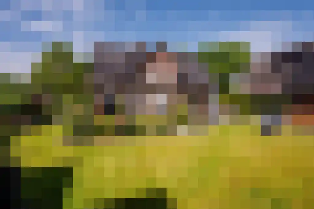 Ribbenboschweg 2 Ermelo thumbnail 41