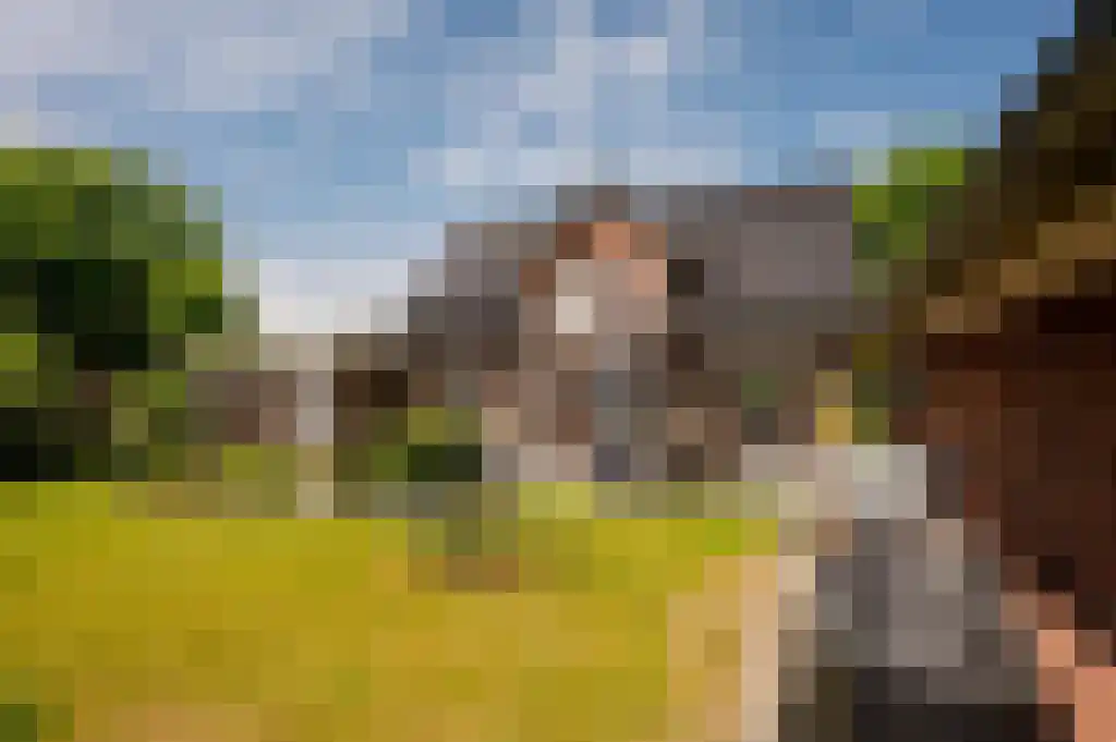 Ribbenboschweg 2 Ermelo thumbnail 43