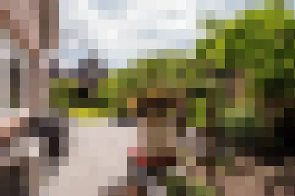 Ribbenboschweg 2 Ermelo thumbnail 45