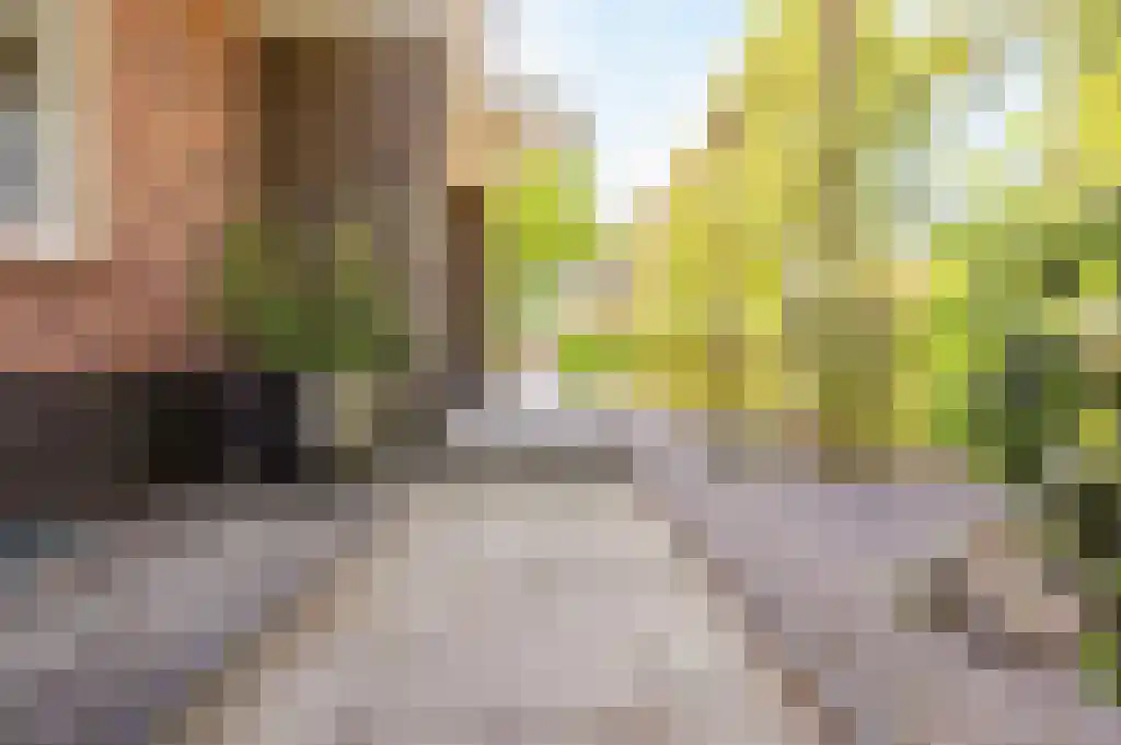 Ribbenboschweg 2 Ermelo thumbnail 49