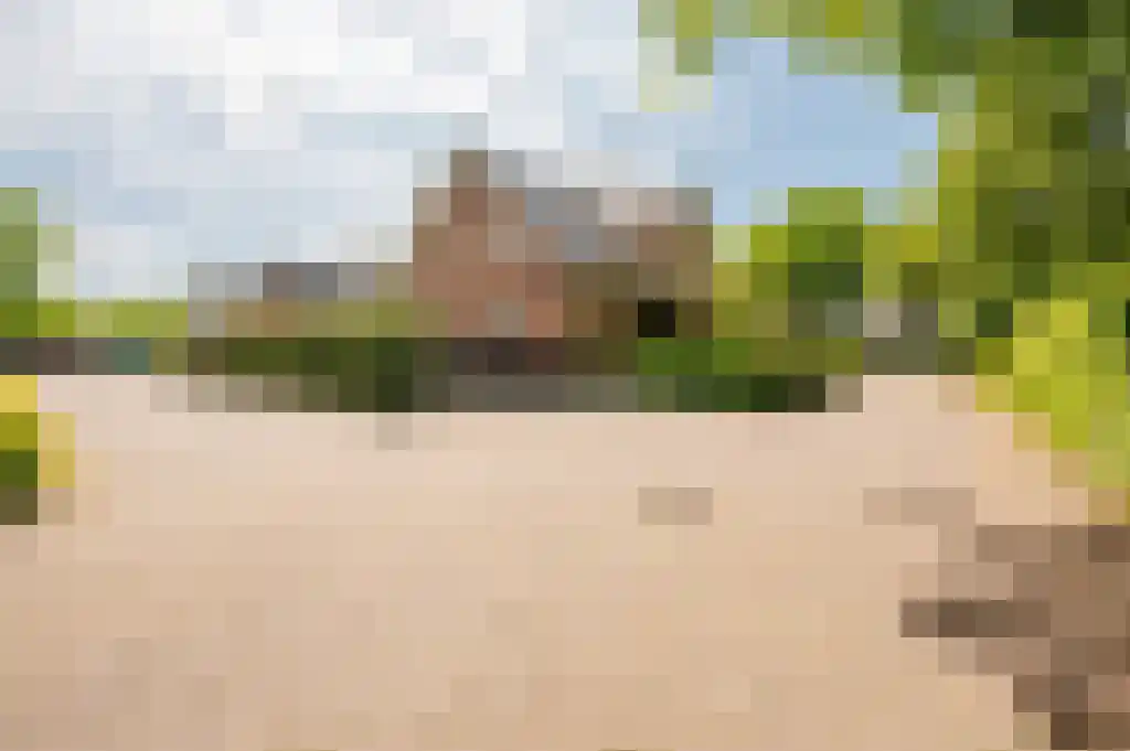 Ribbenboschweg 2 Ermelo thumbnail 55
