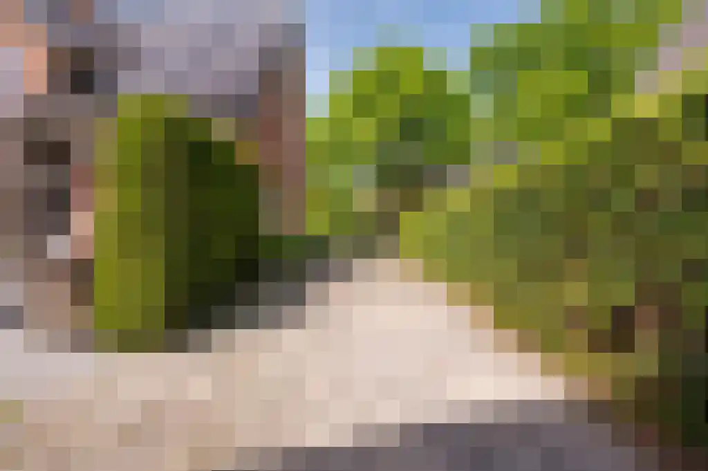 Ribbenboschweg 2 Ermelo thumbnail 56