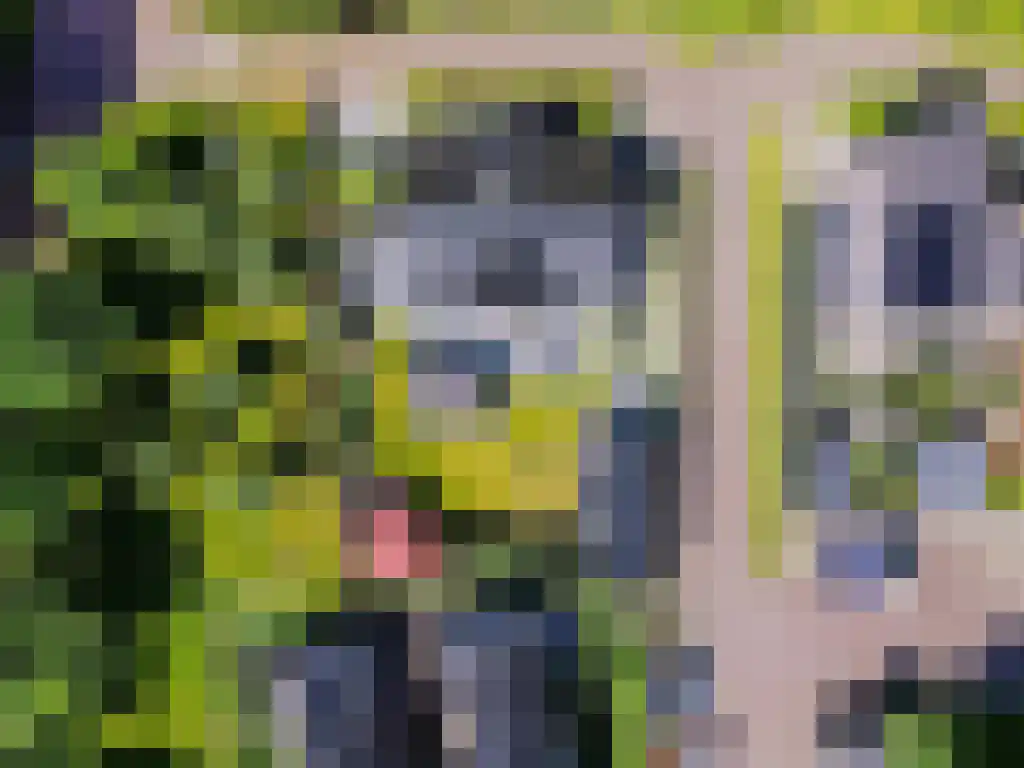 Ribbenboschweg 2 Ermelo thumbnail 57