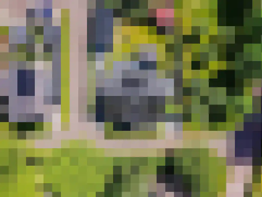 Ribbenboschweg 2 Ermelo thumbnail 58