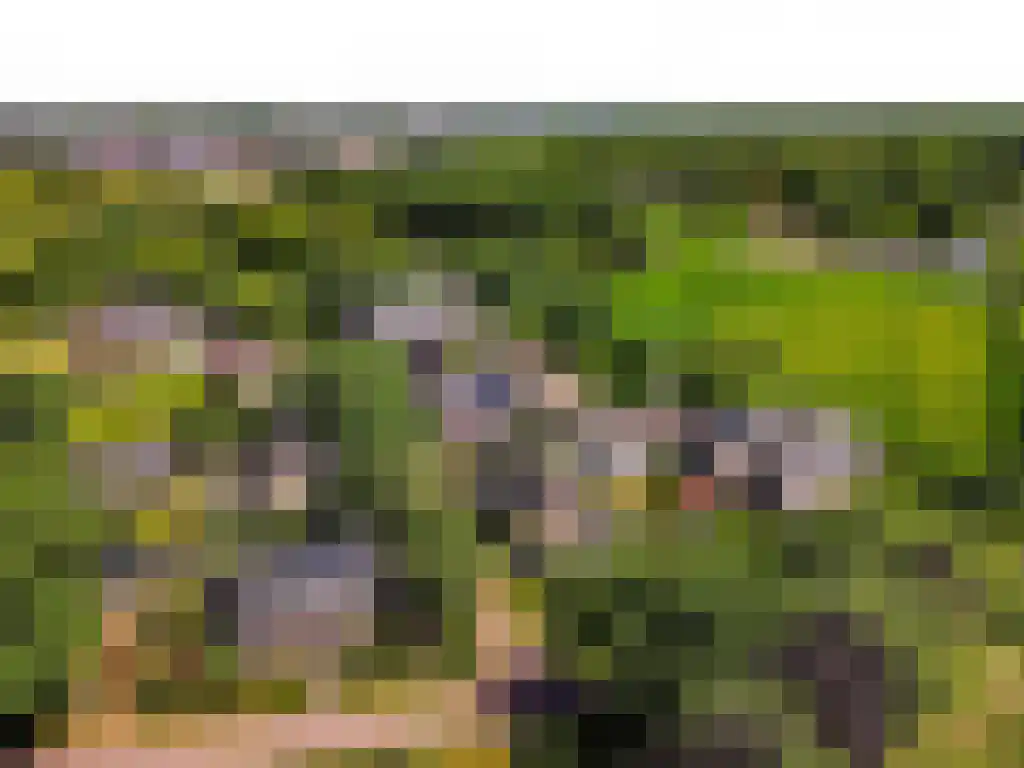 Ribbenboschweg 2 Ermelo thumbnail 59