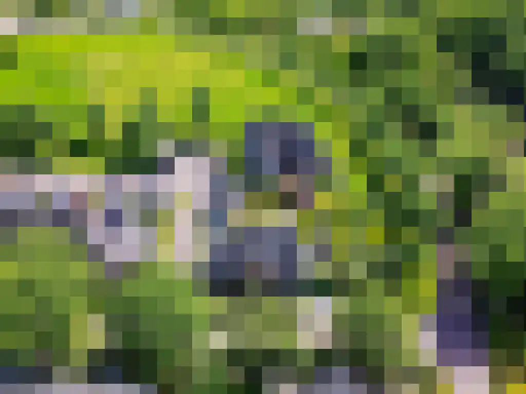 Ribbenboschweg 2 Ermelo thumbnail 60
