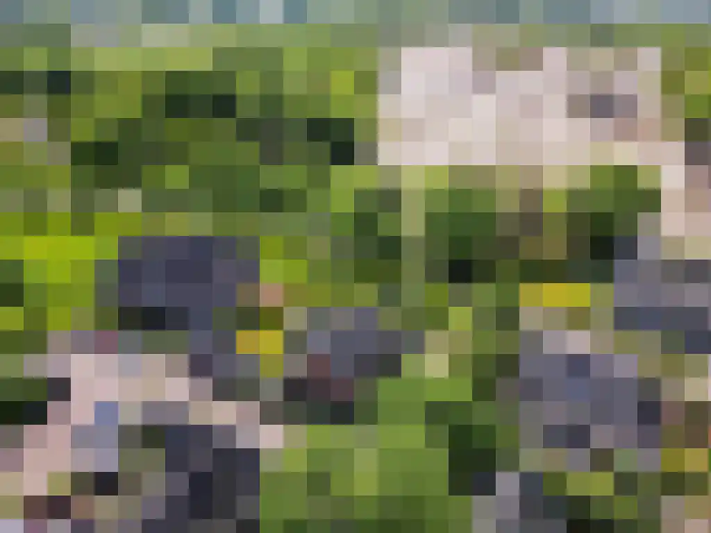 Ribbenboschweg 2 Ermelo thumbnail 61