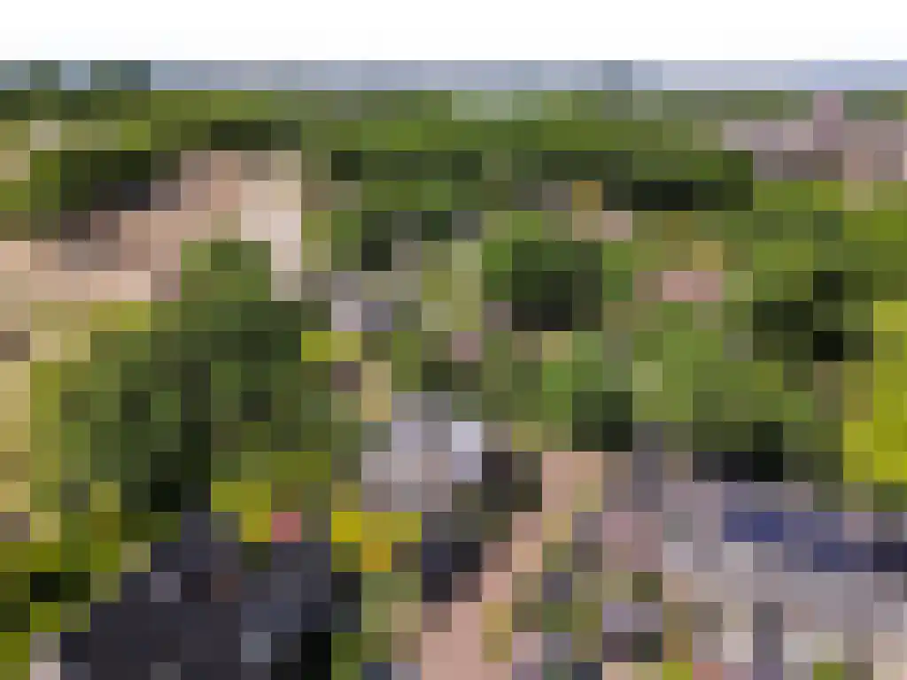 Ribbenboschweg 2 Ermelo thumbnail 62