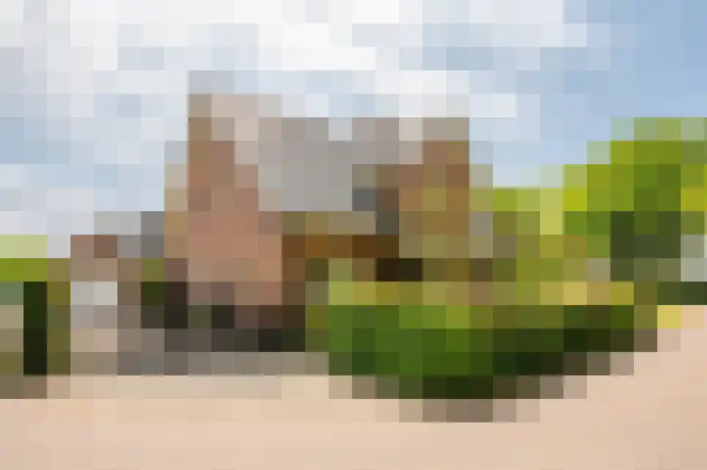 Ribbenboschweg 2 Ermelo thumbnail 7