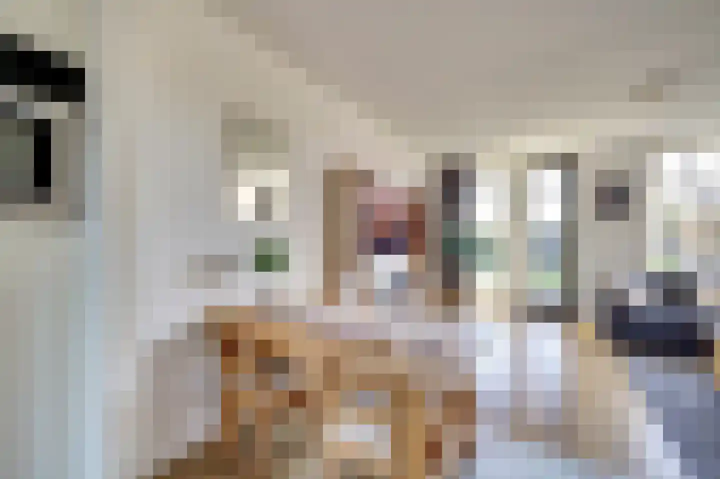 Ribbenboschweg 24 Ermelo thumbnail 11