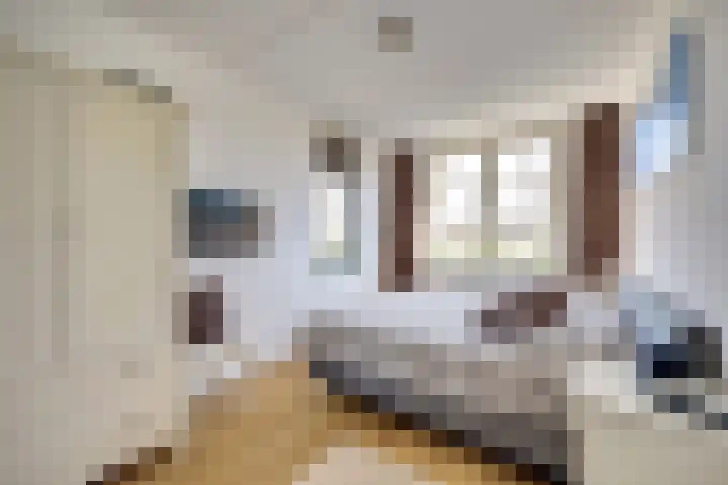 Ribbenboschweg 24 Ermelo thumbnail 17