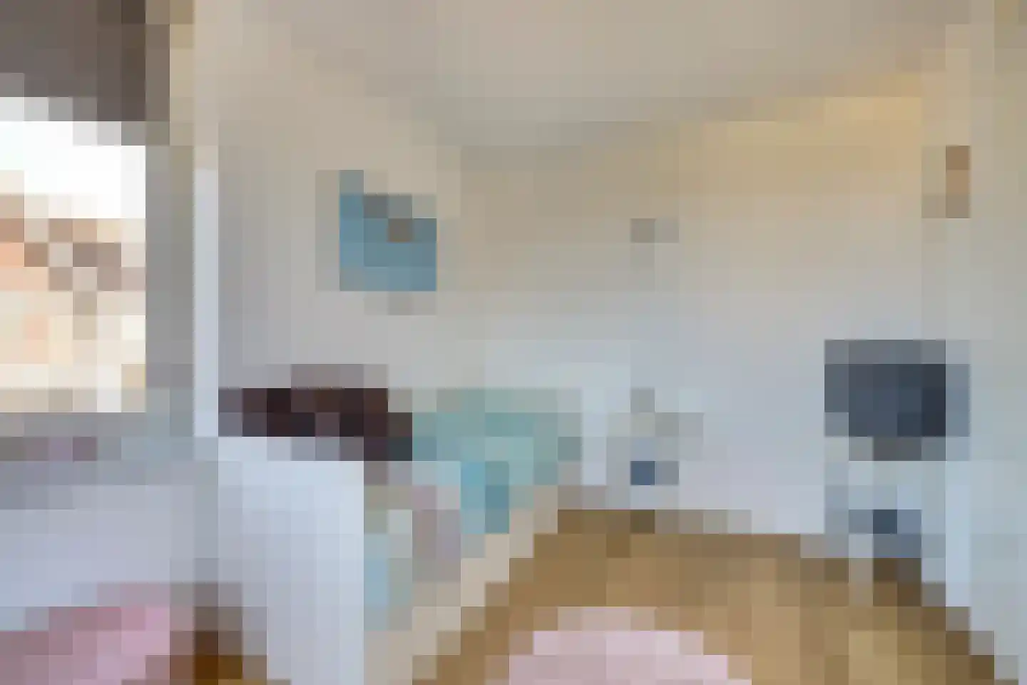 Ribbenboschweg 24 Ermelo thumbnail 19