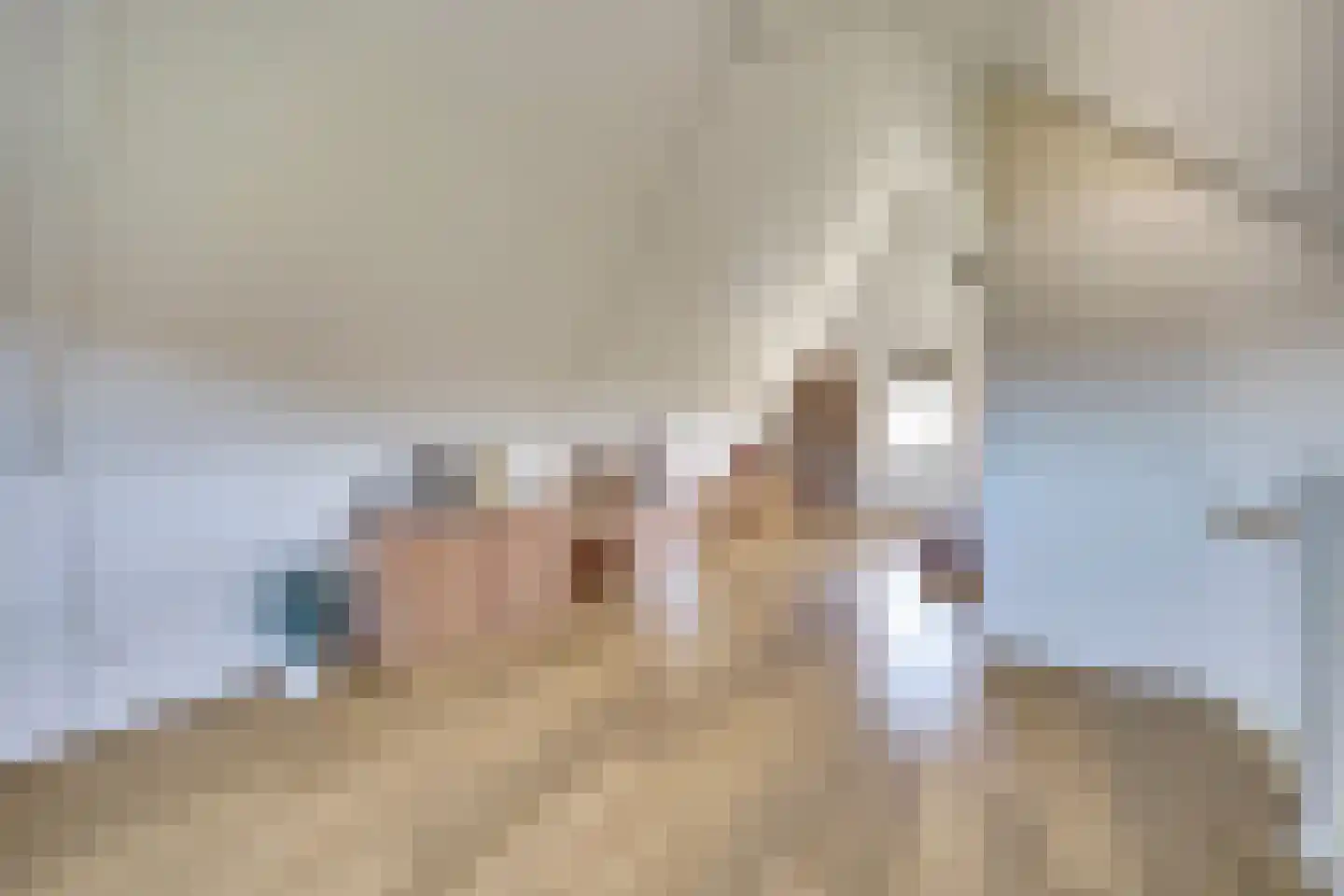 Ribbenboschweg 24 Ermelo thumbnail 26