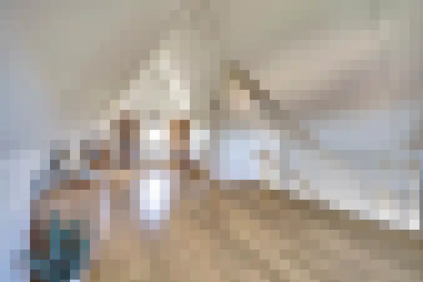 Ribbenboschweg 24 Ermelo thumbnail 27