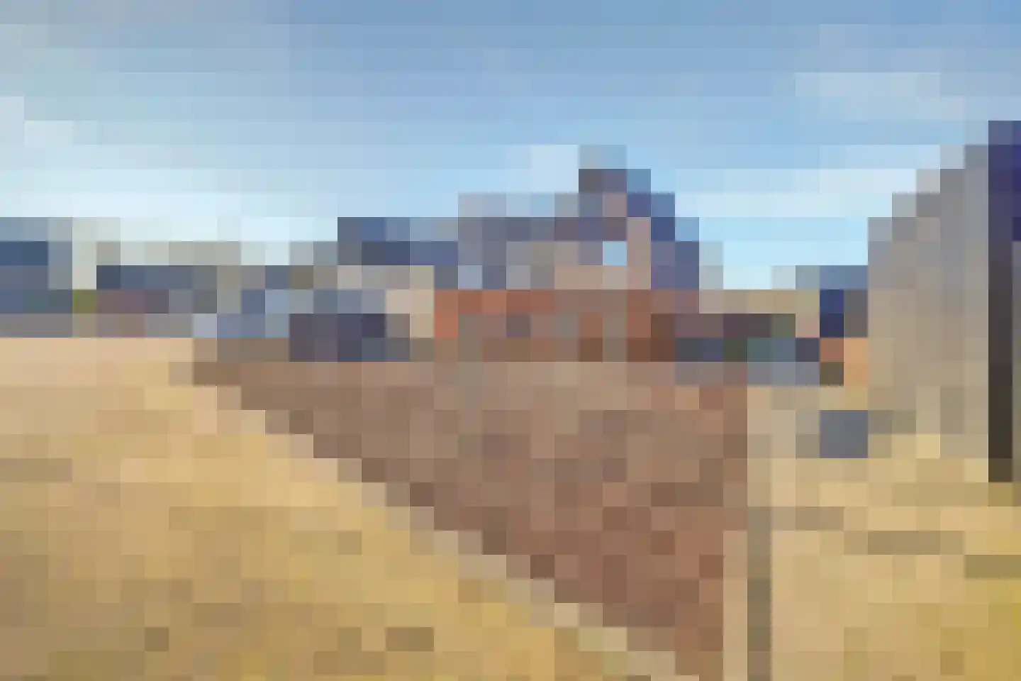 Ribbenboschweg 24 Ermelo thumbnail 42